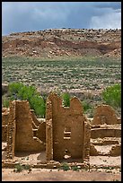 Ruined pueblo and cottonwoods trees. Chaco Culture National Historic Park, New Mexico, USA ( color)