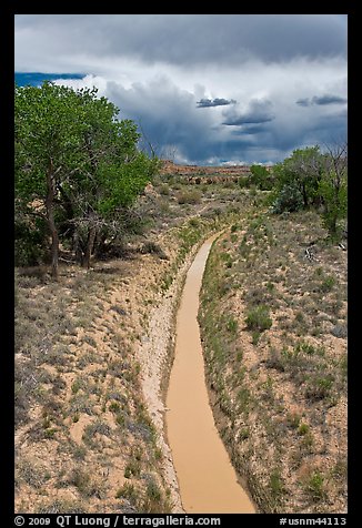 Chaco wash in the spring. Chaco Culture National Historic Park, New Mexico, USA (color)