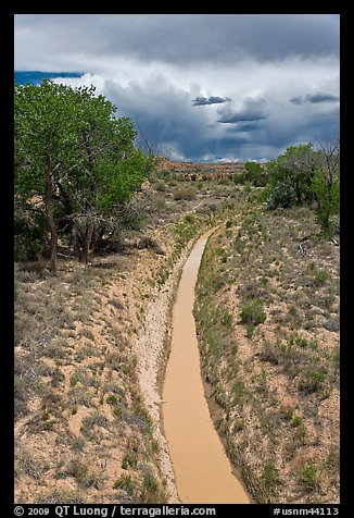 Chaco wash in the spring. Chaco Culture National Historic Park, New Mexico, USA