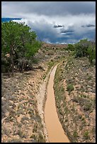 Chaco wash in the spring. Chaco Culture National Historic Park, New Mexico, USA (color)