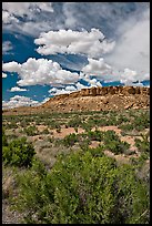 Canyon floor, cliffs, and clouds. Chaco Culture National Historic Park, New Mexico, USA