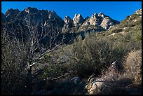 Needles rising above vegetation. Organ Mountains Desert Peaks National Monument, New Mexico, USA ( color)