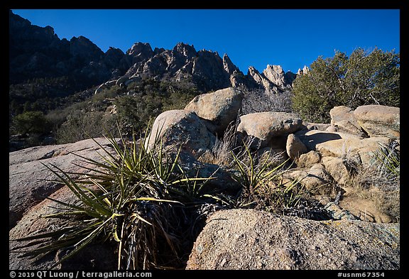 Sotol, Needles, and Organ Needles peaks. Organ Mountains Desert Peaks National Monument, New Mexico, USA (color)