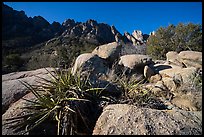 Sotol, Needles, and Organ Needles peaks. Organ Mountains Desert Peaks National Monument, New Mexico, USA ( color)