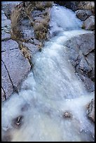 Frozen stream. Organ Mountains Desert Peaks National Monument, New Mexico, USA ( color)