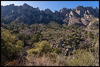 Organ Mountains above Aguirre Springs. Organ Mountains Desert Peaks National Monument, New Mexico, USA ( color)