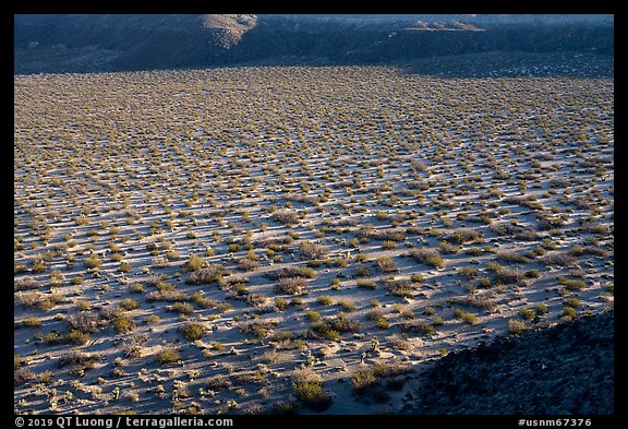 Crater floor, Kilbourne Hole. Organ Mountains Desert Peaks National Monument, New Mexico, USA (color)