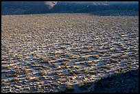 Crater floor, Kilbourne Hole. Organ Mountains Desert Peaks National Monument, New Mexico, USA ( color)