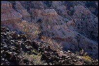 Volcanic rocks and Kilbourne Hole crater walls. Organ Mountains Desert Peaks National Monument, New Mexico, USA ( color)