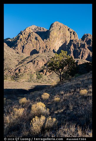 Organ Peak from Dripping Springs Natural Area. Organ Mountains Desert Peaks National Monument, New Mexico, USA (color)