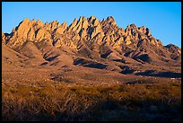 Organ Needles at sunset. Organ Mountains Desert Peaks National Monument, New Mexico, USA ( color)