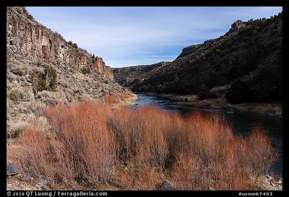 Red willows and Rio Grande River in winter. Rio Grande Del Norte National Monument, New Mexico, USA (color)