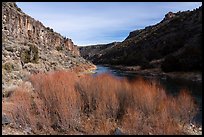 Red willows and Rio Grande River in winter. Rio Grande Del Norte National Monument, New Mexico, USA ( color)
