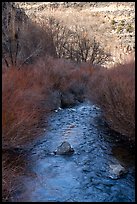 Rio Hondo near Rio Grande Gorge. Rio Grande Del Norte National Monument, New Mexico, USA ( color)