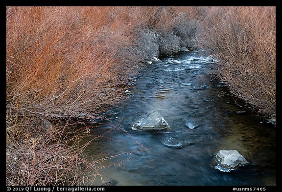 Stream and willows. Rio Grande Del Norte National Monument, New Mexico, USA (color)