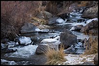 Stream in winter. Rio Grande Del Norte National Monument, New Mexico, USA ( color)