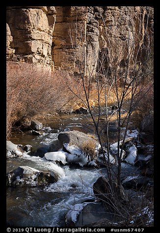 Rio Hondo and cliffs. Rio Grande Del Norte National Monument, New Mexico, USA (color)