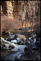 Rio Hondo and cliffs. Rio Grande Del Norte National Monument, New Mexico, USA ( color)
