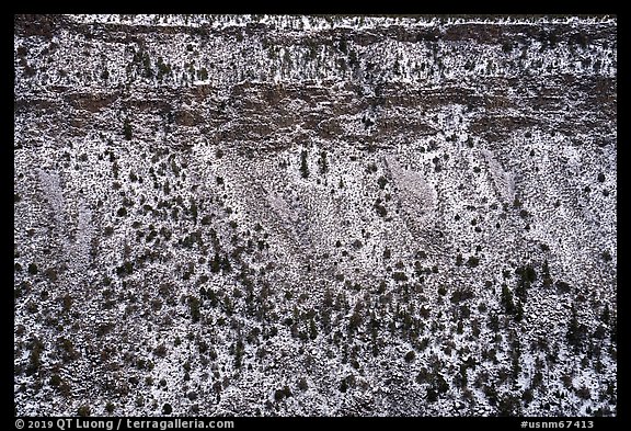 Snow-covered Red River Gorge walls. Rio Grande Del Norte National Monument, New Mexico, USA (color)