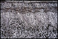 Snow-covered Red River Gorge walls. Rio Grande Del Norte National Monument, New Mexico, USA ( color)