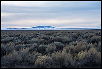 Taos Plateau and San Antonio Mountain in winter. Rio Grande Del Norte National Monument, New Mexico, USA ( color)