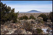 Sagebrush, desert plants, and Ute Mountain. Rio Grande Del Norte National Monument, New Mexico, USA ( color)
