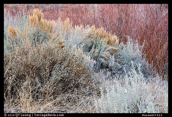 Taos Plateau and Ute Mountain. Rio Grande Del Norte National Monument, New Mexico, USA (color)