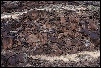 Volcanic rocks and cliffs near La Vista Verde. Rio Grande Del Norte National Monument, New Mexico, USA ( color)