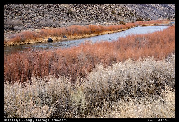 Shrubs and red willows lining up shores of the Rio Grande River. Rio Grande Del Norte National Monument, New Mexico, USA (color)