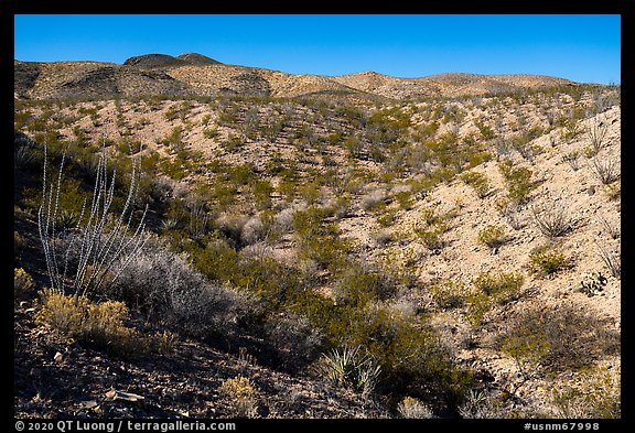 Robledo Mountains, Prehistoric Trackways National Monument. Organ Mountains Desert Peaks National Monument, New Mexico, USA (color)