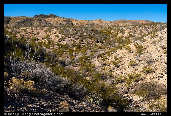 Robledo Mountains, Prehistoric Trackways National Monument. Organ Mountains Desert Peaks National Monument, New Mexico, USA (color)