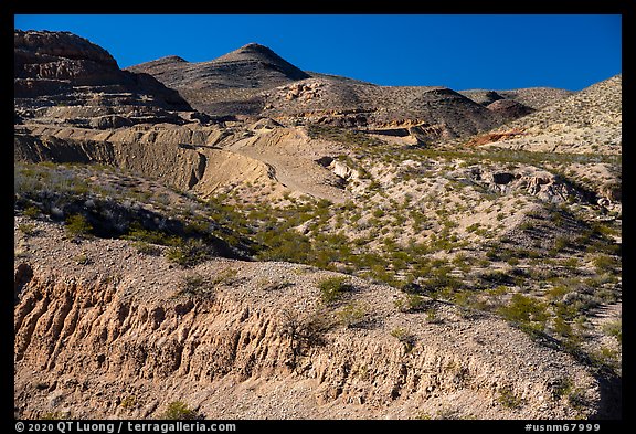 Robledo Mountains. Organ Mountains Desert Peaks National Monument, New Mexico, USA (color)