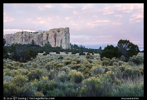 Sage and sandstone cuesta. El Morro National Monument, New Mexico, USA (color)