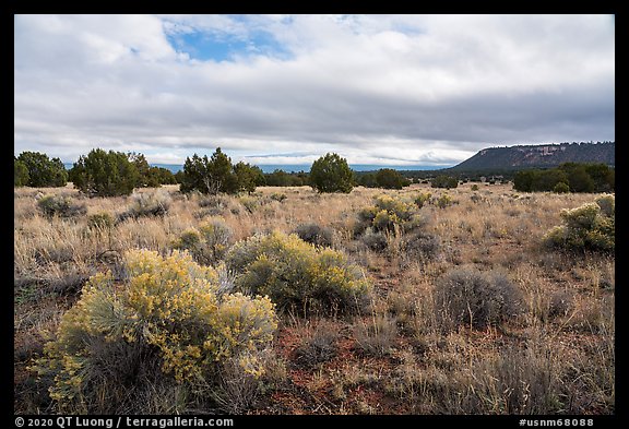 Flats with sage and juniper. El Morro National Monument, New Mexico, USA (color)