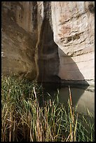 Pool at the base of cliff. El Morro National Monument, New Mexico, USA ( color)