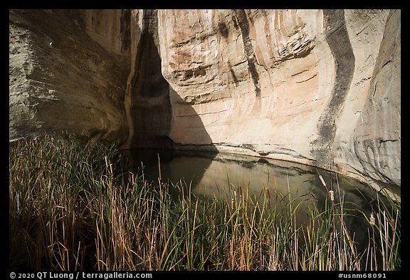 Water pool. El Morro National Monument, New Mexico, USA (color)