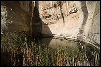 Water pool. El Morro National Monument, New Mexico, USA ( color)