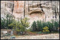 Cliff with water spillway marks. El Morro National Monument, New Mexico, USA ( color)