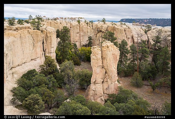 Monolith in box canyon. El Morro National Monument, New Mexico, USA (color)