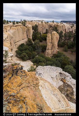 Box canyon from rim. El Morro National Monument, New Mexico, USA (color)