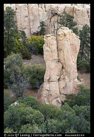 Sandstone monolith. El Morro National Monument, New Mexico, USA (color)