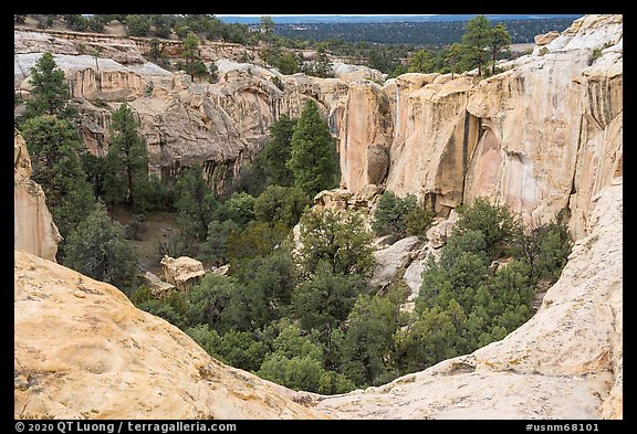 Box canyon. El Morro National Monument, New Mexico, USA (color)