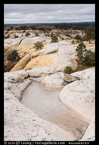 Rainwater pool on bluff. El Morro National Monument, New Mexico, USA (color)