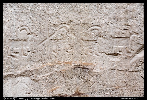Petroglyps of big horn sheep. El Morro National Monument, New Mexico, USA (color)