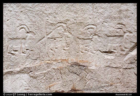 Petroglyps of big horn sheep. El Morro National Monument, New Mexico, USA (color)