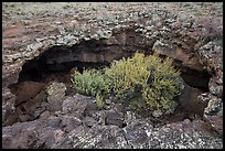 Collapsed lava tube. El Malpais National Monument, New Mexico, USA ( color)