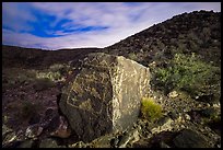 Large rock covered with petroglyphs on both sides, Petroglyph National Monument. New Mexico, USA ( color)
