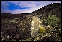 Large rock covered with petroglyphs on both sides, Petroglyph National Monument. New Mexico, USA ( color)