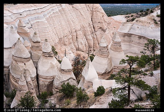 Tent rocks of conical shape in gorge. Kasha-Katuwe Tent Rocks National Monument, New Mexico, USA (color)