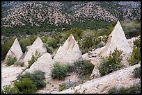White pyramidal rocks. Kasha-Katuwe Tent Rocks National Monument, New Mexico, USA ( color)